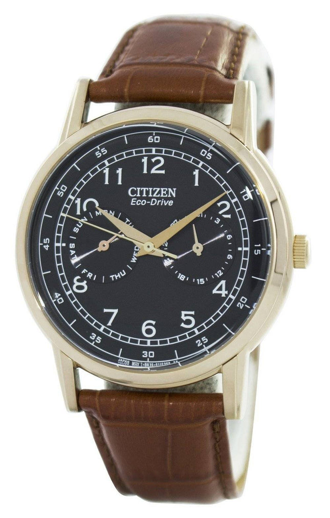 Citizen kjole Eco-Drive AO9003-08E Herreur